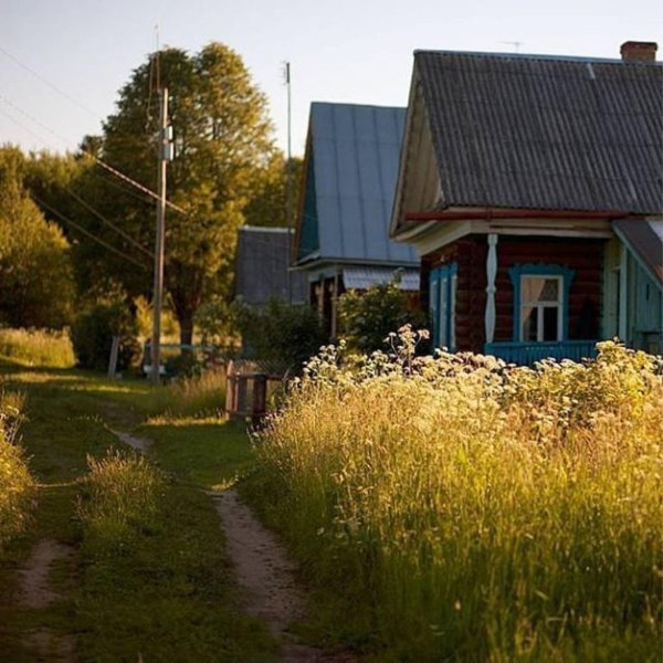 деревенский домик летом