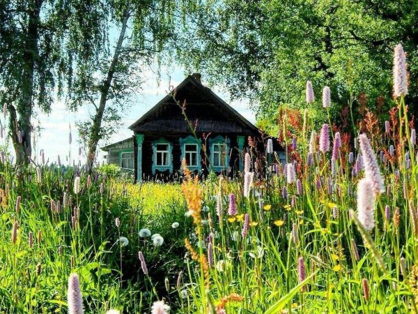 деревенские домики