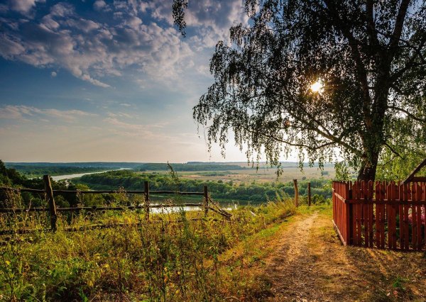 бехово поленово