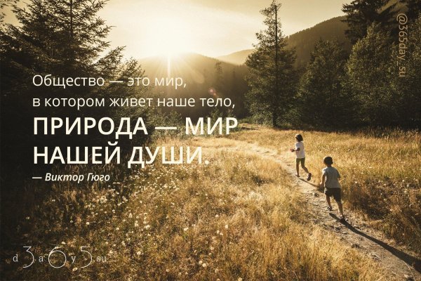 цитата про природу