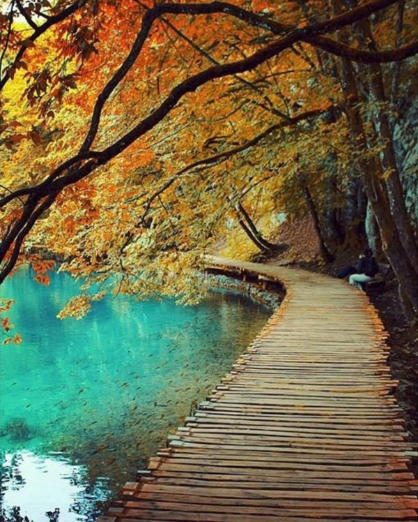 табиат манзараси