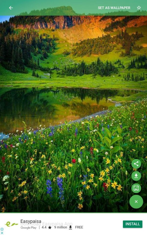 альпийские луга в ингушетии