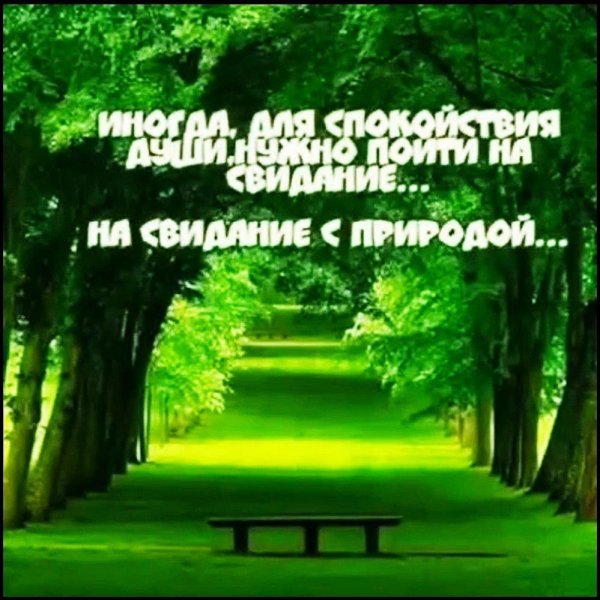 свидание с природой
