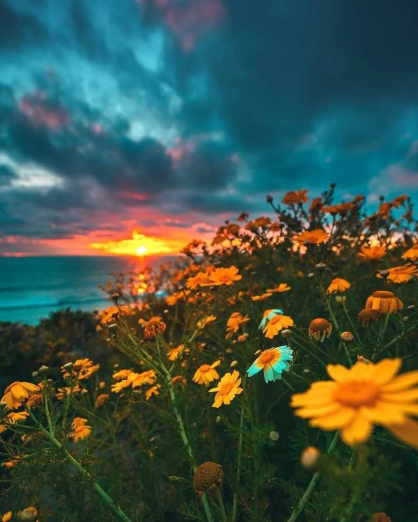 рассвет лето