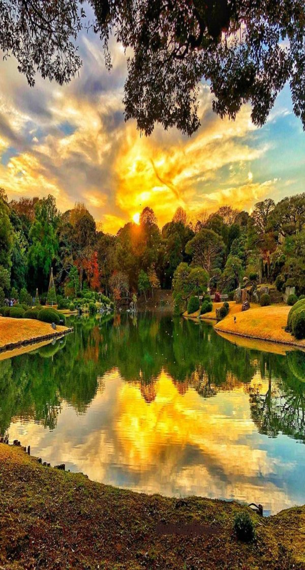 прекрасная природа