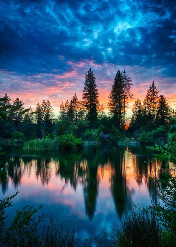 красива природа