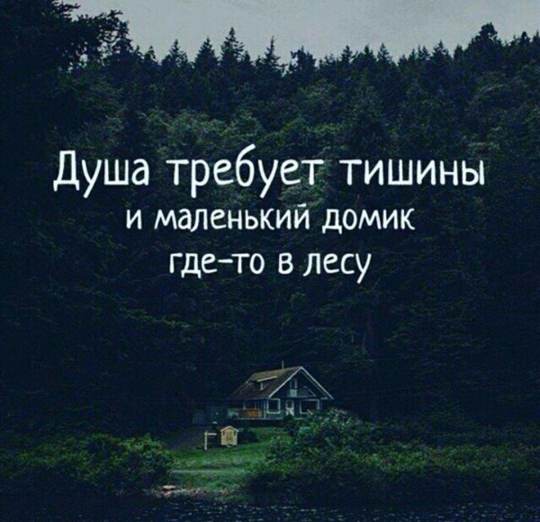 душа требует леса