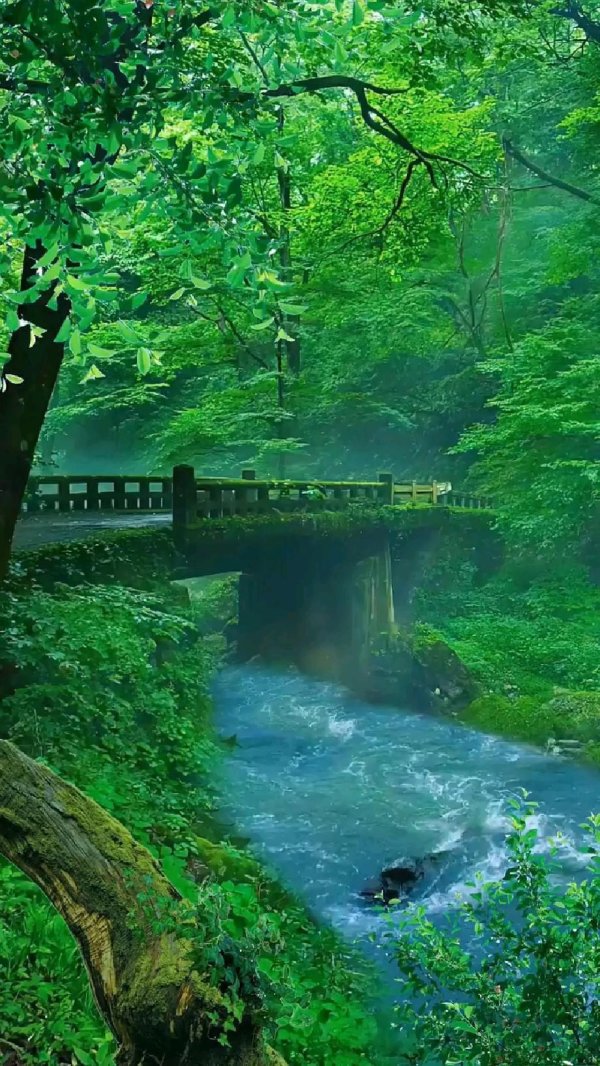 зеленая природа