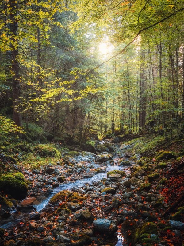 Природа реалистичные