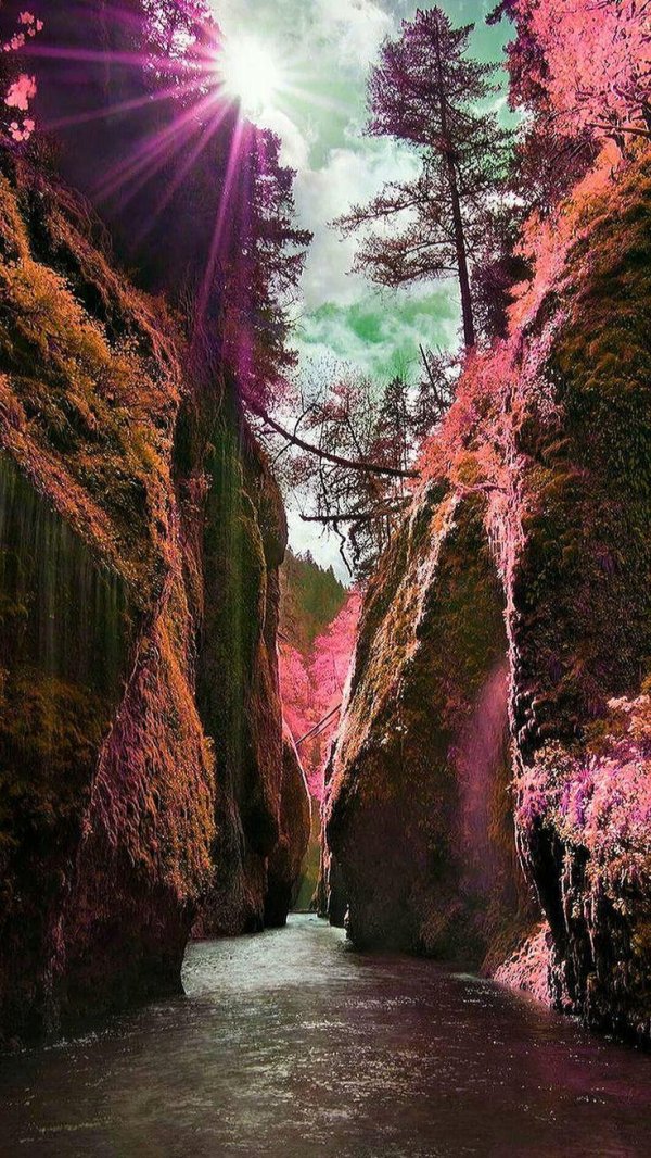 ущелье ааре швейцария