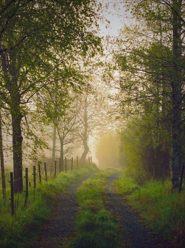 красивейшие пейзажи