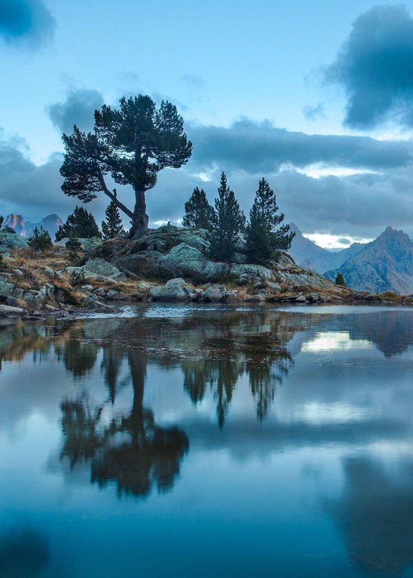 природа красивая