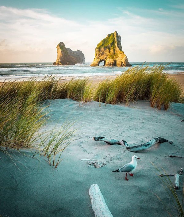 пляжи новой зеландии