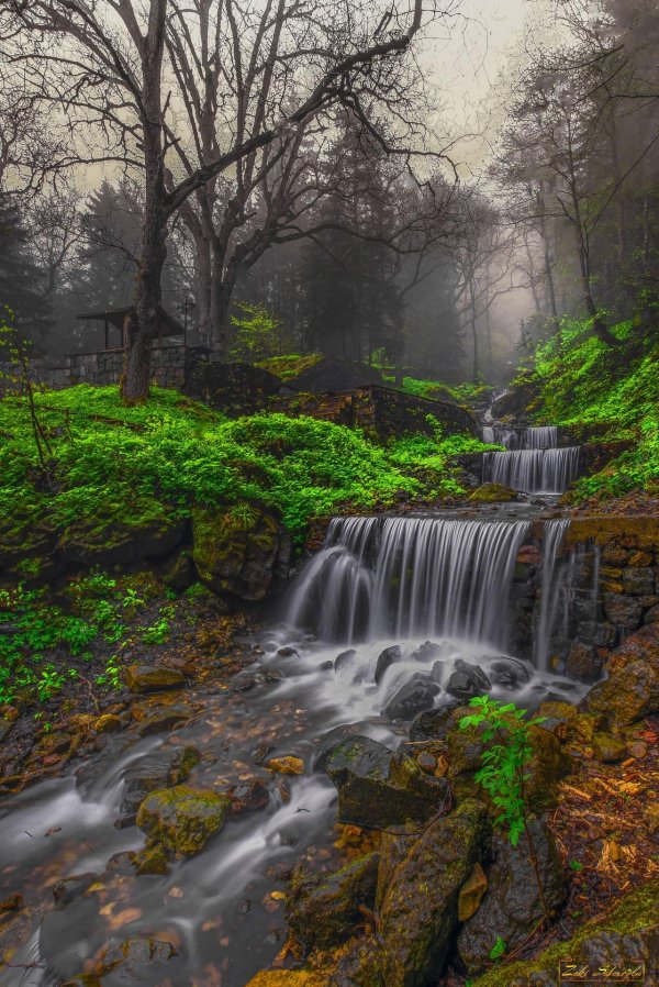 водопад в лесу