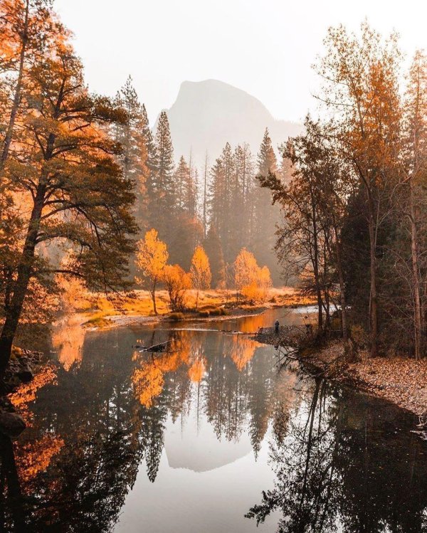 штат массачусетс природа