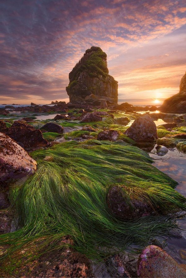 море природа