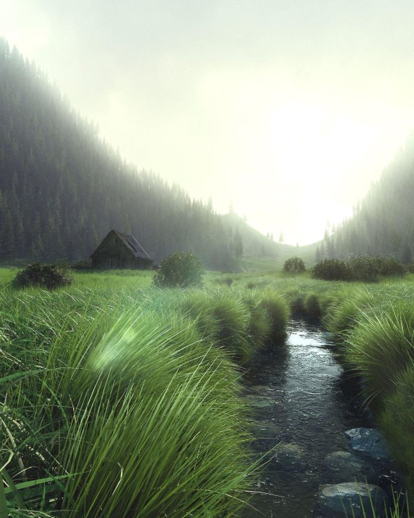 Природа реалистичные