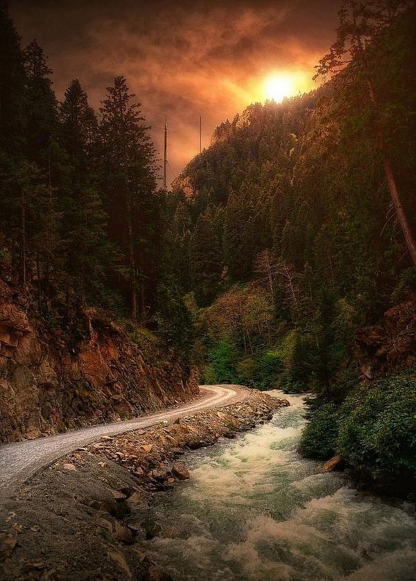 дорога красивая