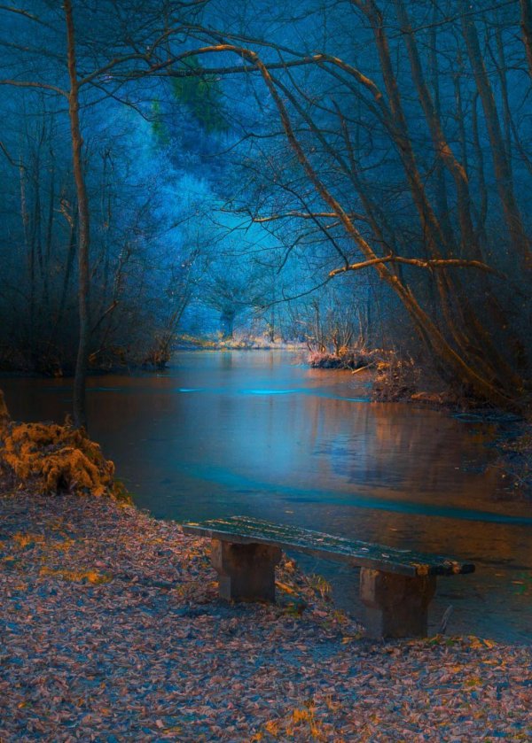 контрастный пейзаж