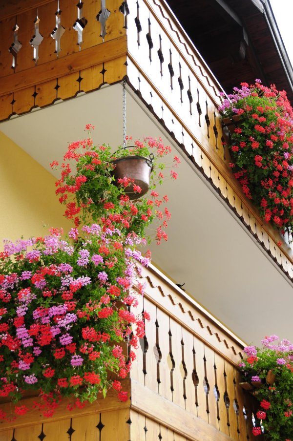 balcony with flowers