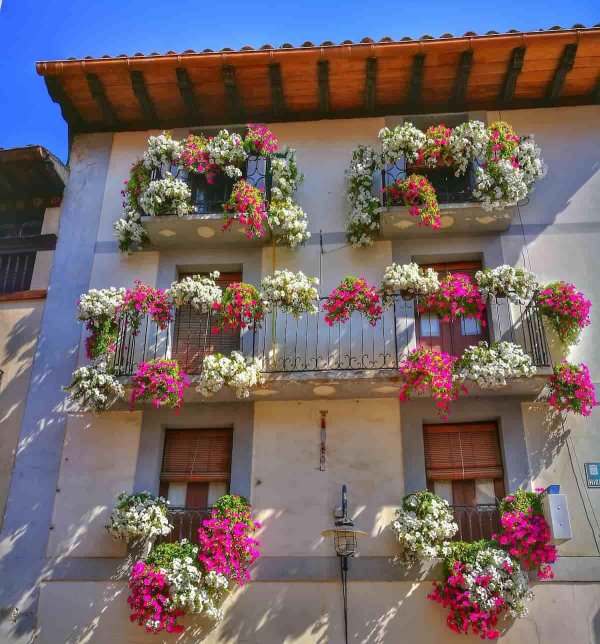 цветущий балкончик сицилия