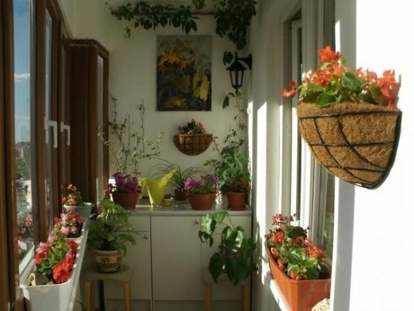 озеленение балкона