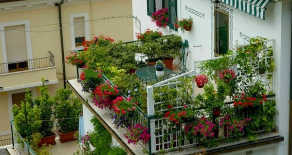 озеленение балконов и лоджий