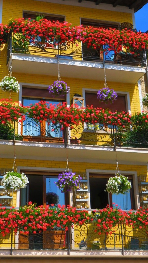 цветущие балконы