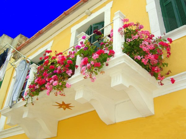 balcony with flowers
