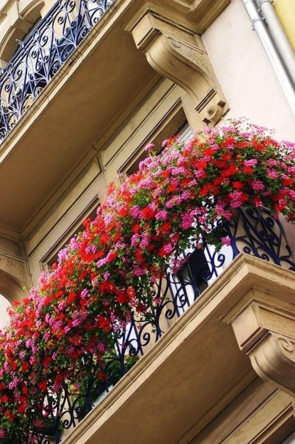 венский балкончик