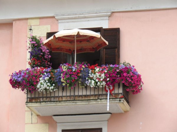 balcony flowers