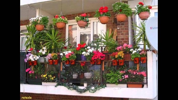 balcony ideas