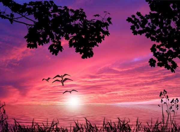 закат красивый