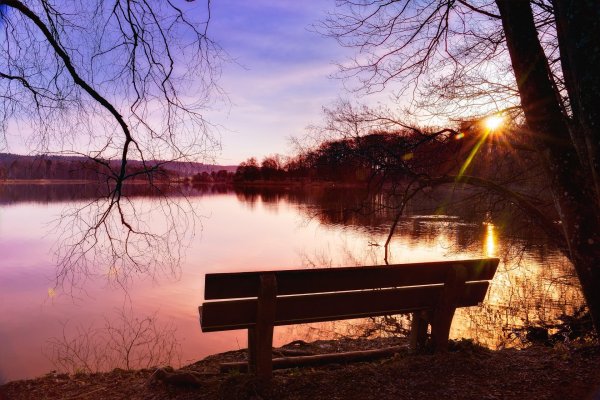 закат в парке