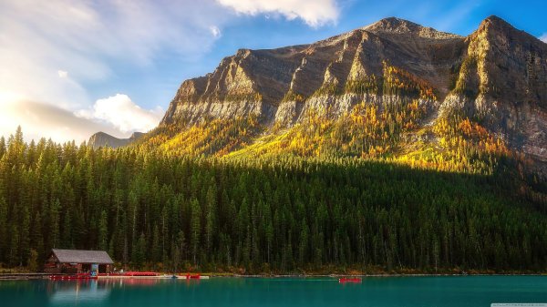 4k обои на рабочий стол природа