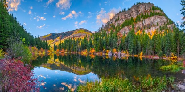 природа колорадо