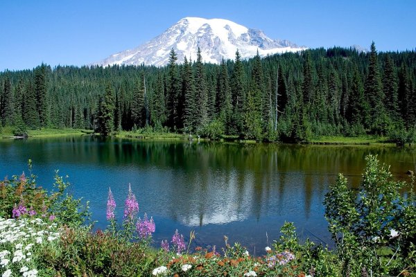 mt rainier national park