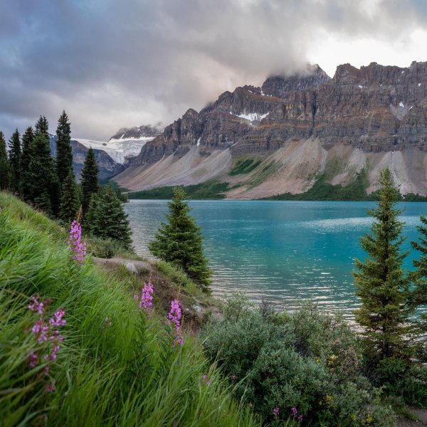 красивые пейзажи природы