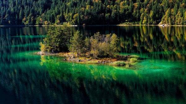 лес с озером