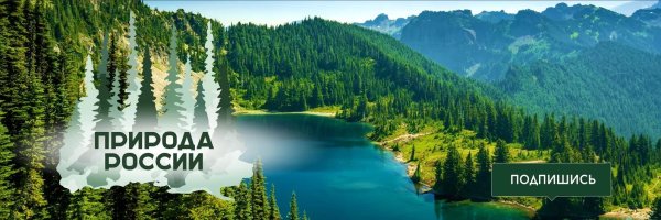 красота природы россии