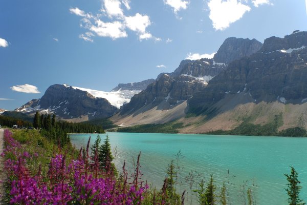 bow lake in banff national park