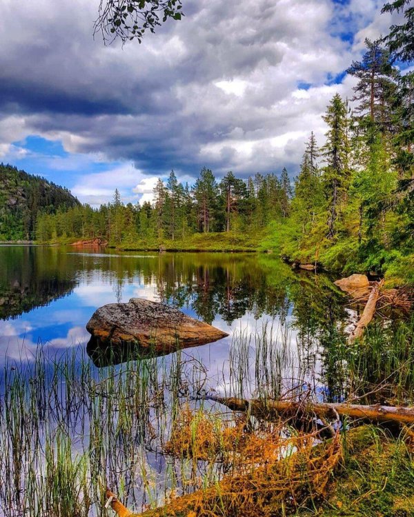 озера в лесу