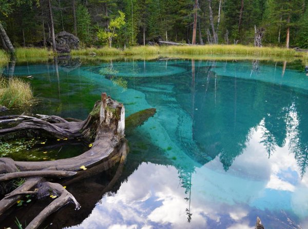 гейзерное озеро алтай