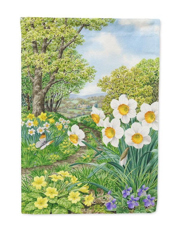 поле нарциссов