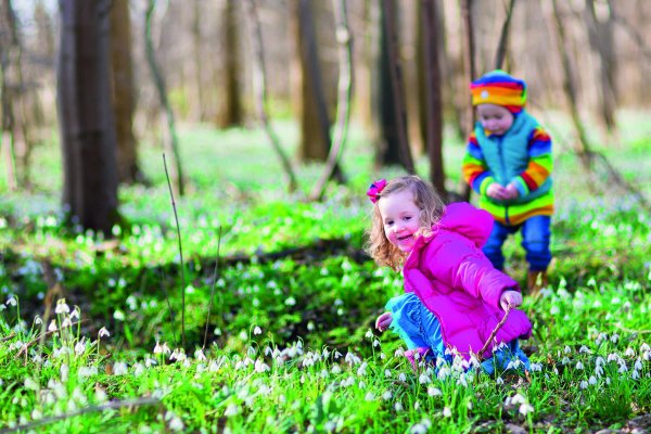 весенняя прогулка