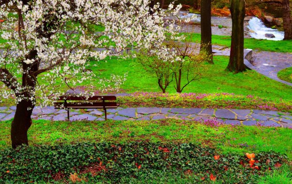 весенний парк