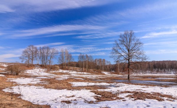 ясная поляна тула весной