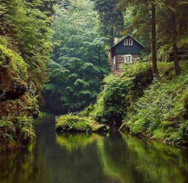 домик в лесу