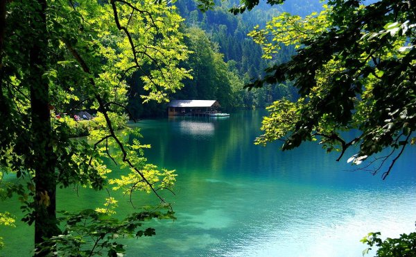 альпзее озеро бавария