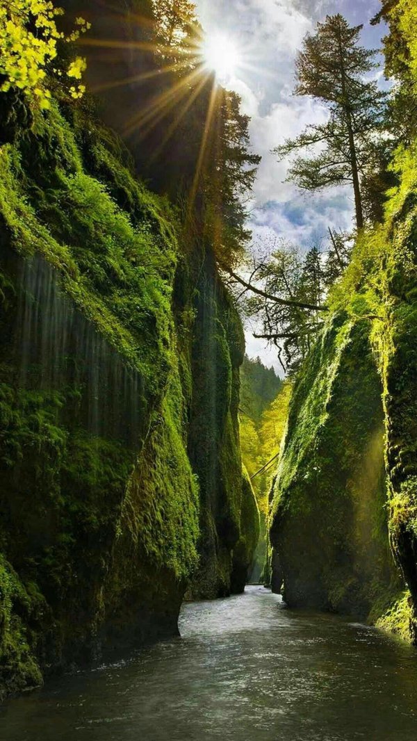 ущелье онеонта орегон